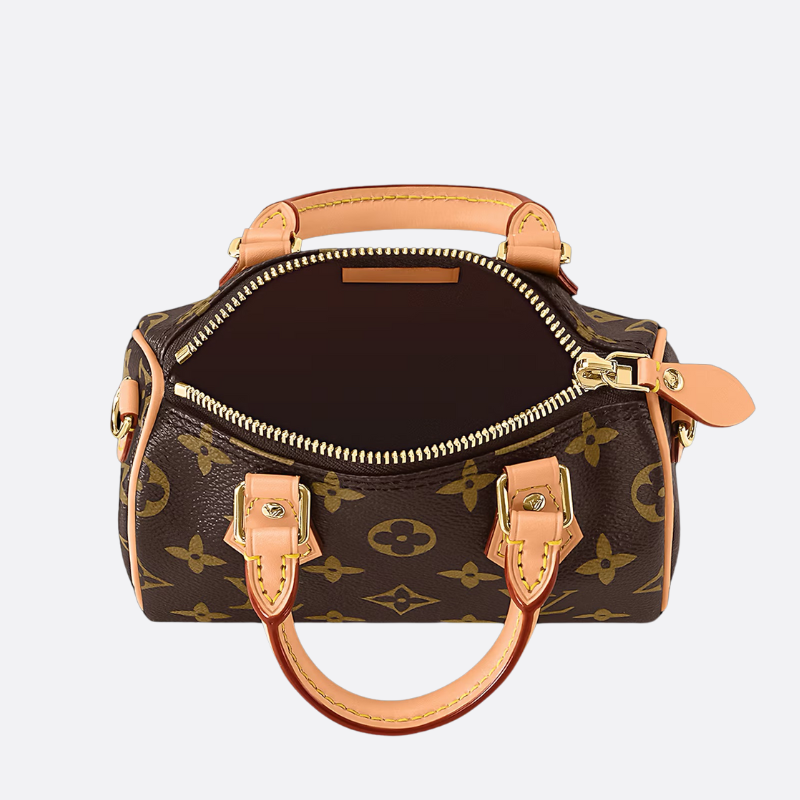 LV Speedy Nano Bag